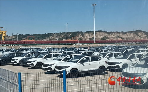 做強蘭州樞紐品牌，構建高質量發展快速引擎——房屋租賃助力城市新升級