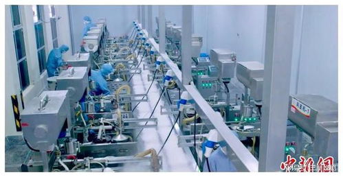 臺商深耕江西 以科技為翼，推動傳統(tǒng)食品傳承與生物化工創(chuàng)新